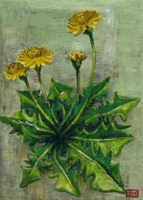 이오연, 〈민들레 1〉, 캔버스에 유채, 24.2x33.4cm, 판매 완료
