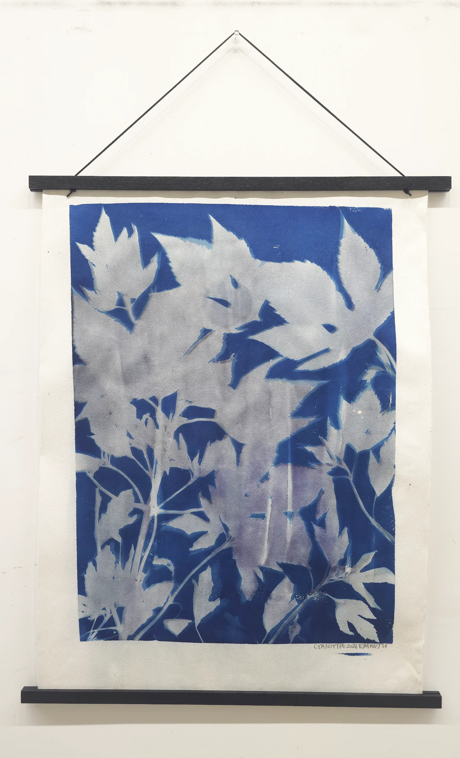김우주, 〈Weeds Never Die1〉, 시아노타입, 56.5x76cm — 짙은 청색 바탕 위에 채집한 잎사귀의 그림자가 흰빛으로 새겨진 근작