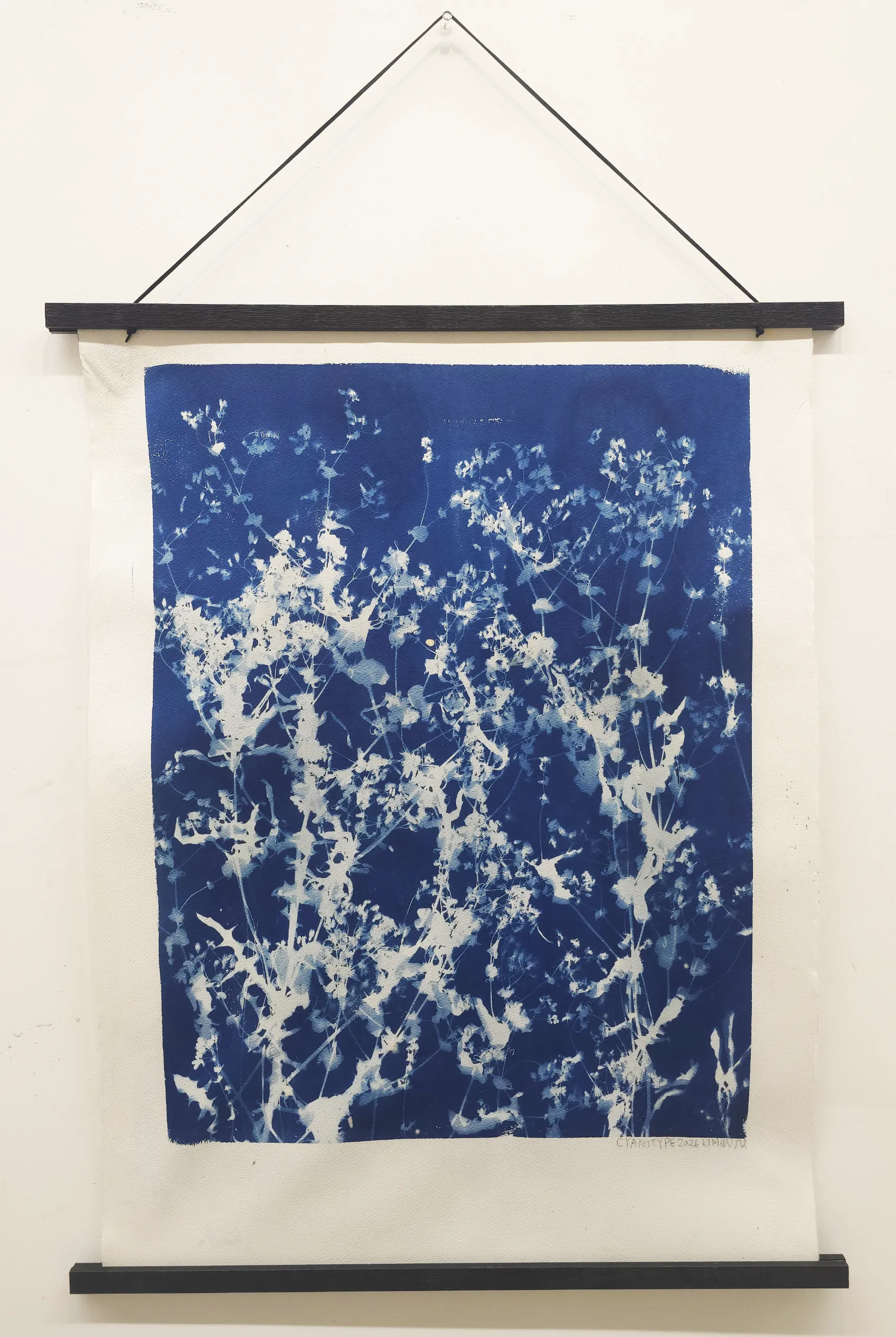 김우주, 〈Weeds Never Die2〉, 시아노타입, 56.5x76cm, ₩500,000