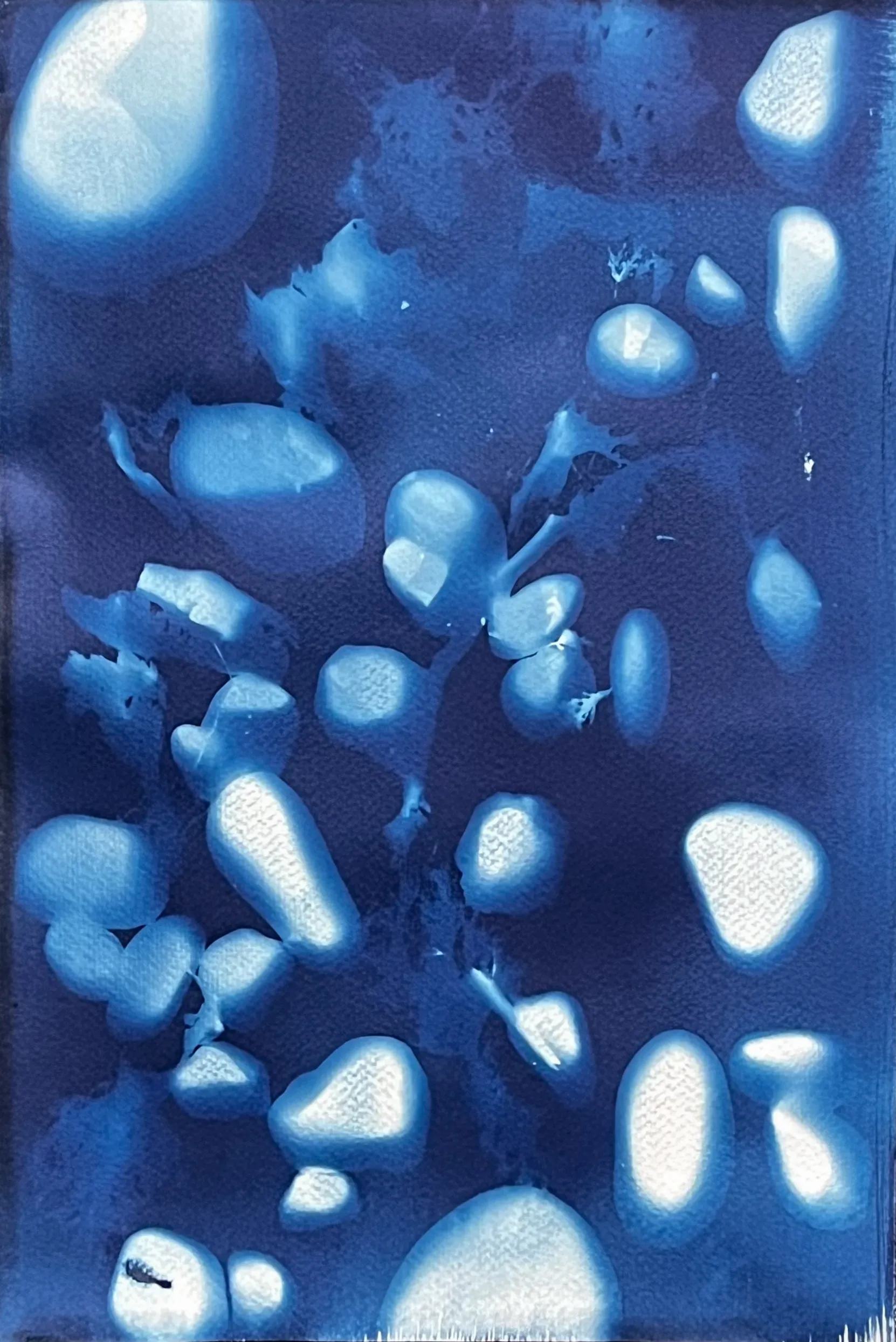 김경진, 〈공허의 돌_05〉, 종이에 시아노타입 프린트, 26x38.5cm — 짙은 감청 바탕에 돌의 흰 윤곽이 떠오르는 화면
