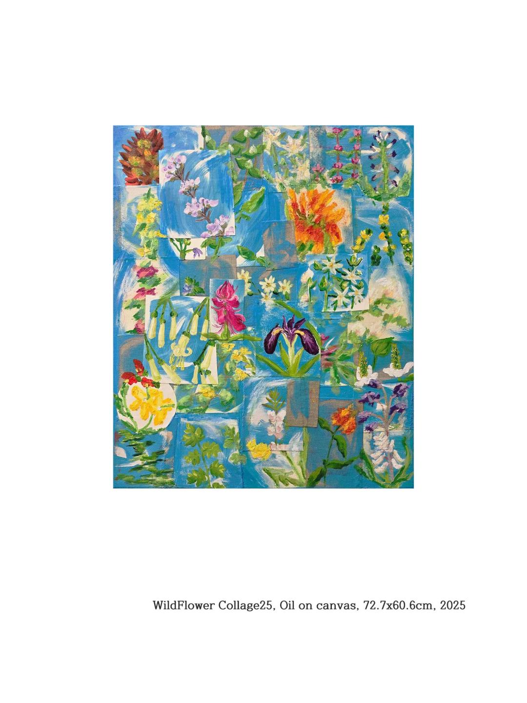 김우주, 〈WildFlower Collage 25〉, 2025, Oil on canvas, 72.7x60.6cm