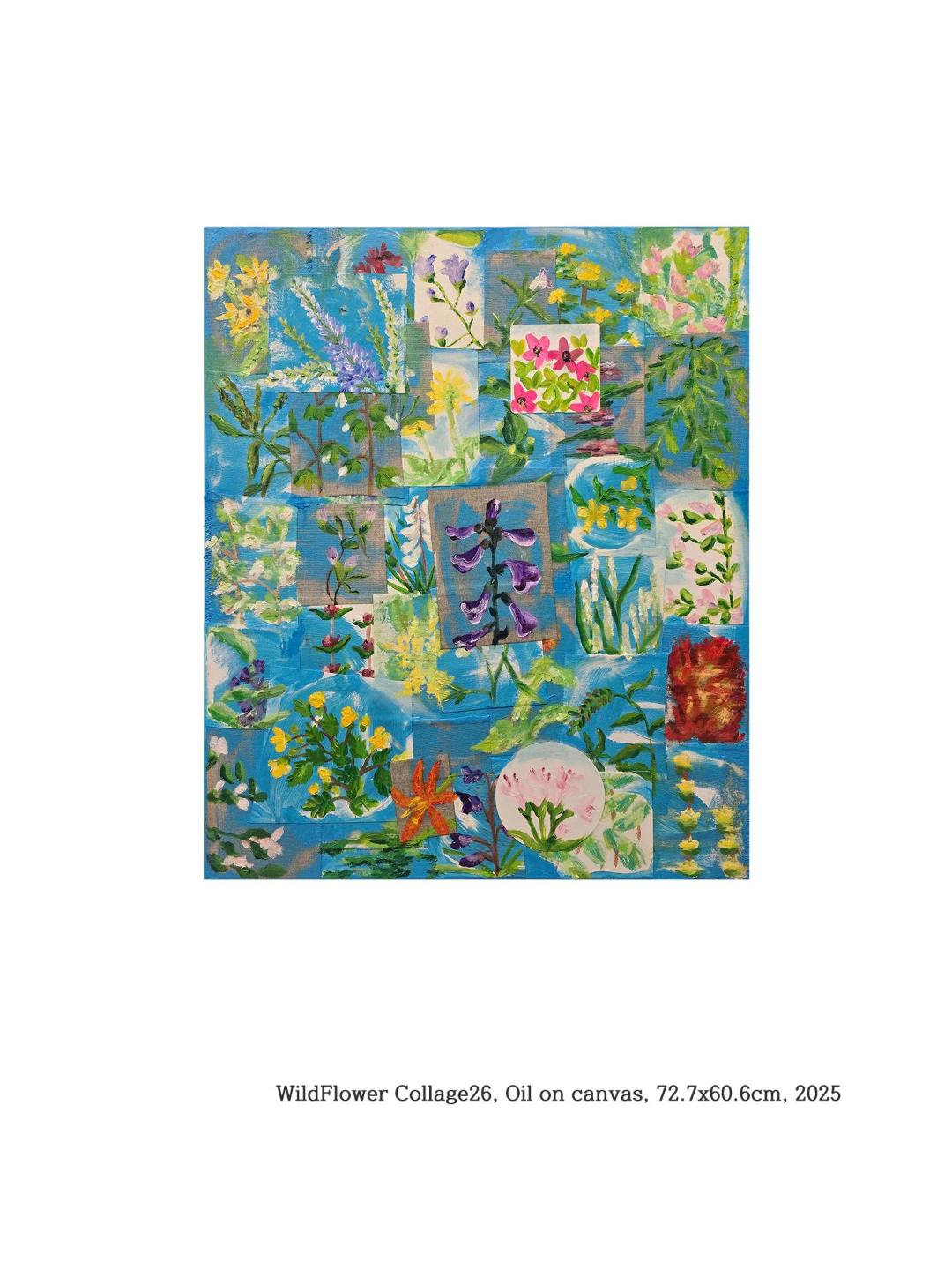 김우주, 〈WildFlower Collage 26〉