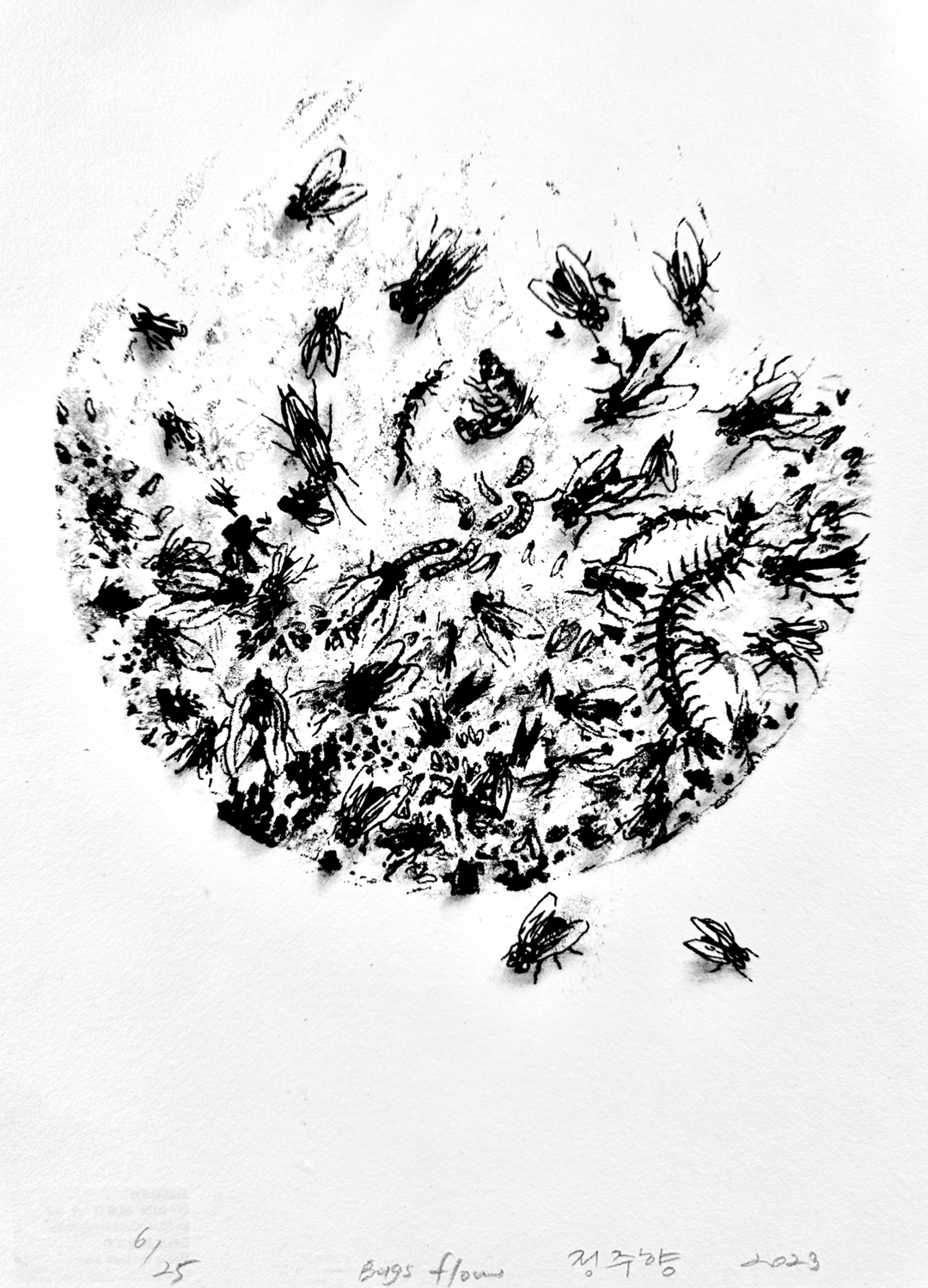 정주향, 〈球〉, 실크드로잉, 21x29.7cm — 흰 종이 위에 검은 파리와 애벌레, 지네가 빽빽하게 모여 둥근 덩어리를 이루고, 왼쪽 위 가장자리는 점으로 흩어지며, 덩어리 아래에 파리 두 마리가 떨어져 있다