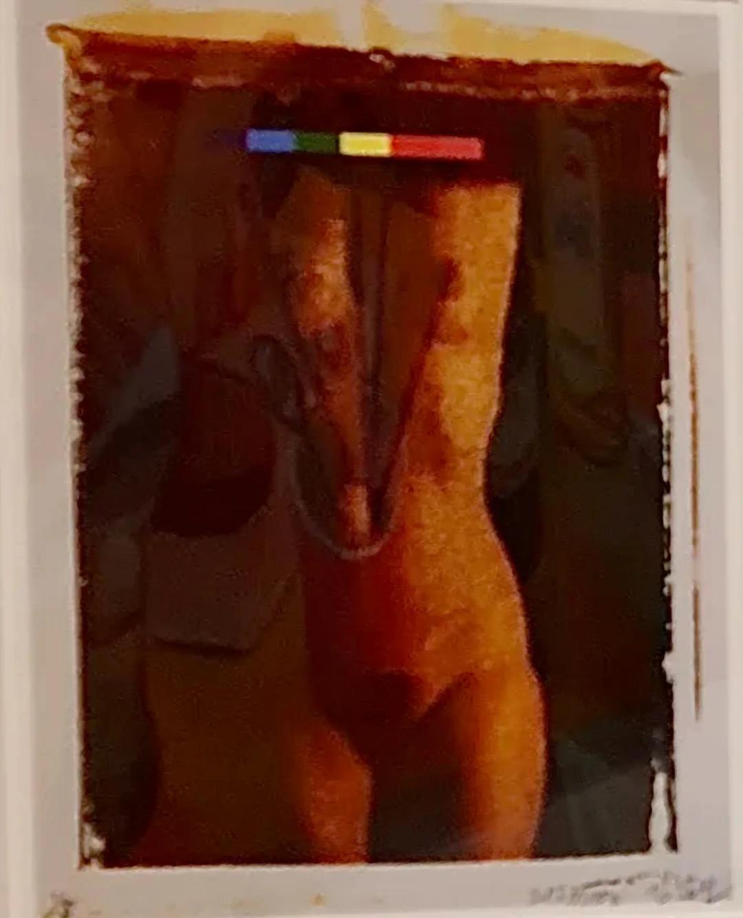 김남진, 〈누드〉, 1/5 프린트, 1992 — 폴라로이드 전사기법 특유의 뜯긴 가장자리와 색 보정용 컬러바가 화면 위쪽에 그대로 찍혀 있다