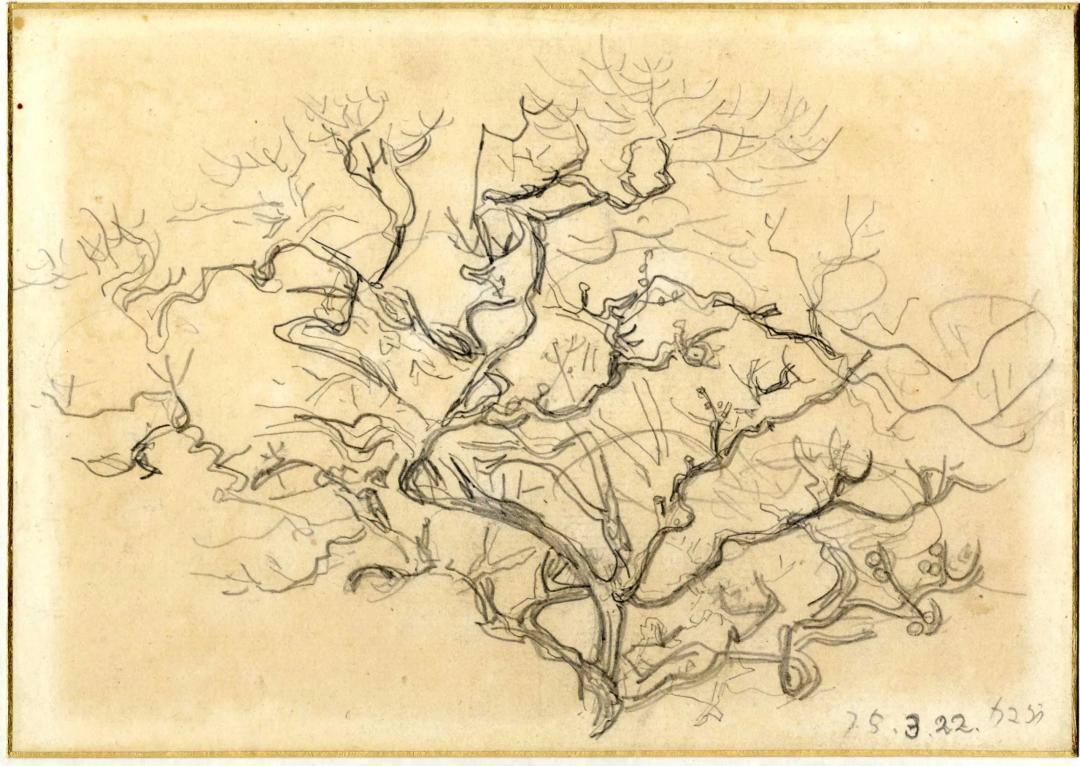 박생광, 〈가마쿠라 나무〉, 종이에 연필, 22.6x15.9cm, 1975년03월22일