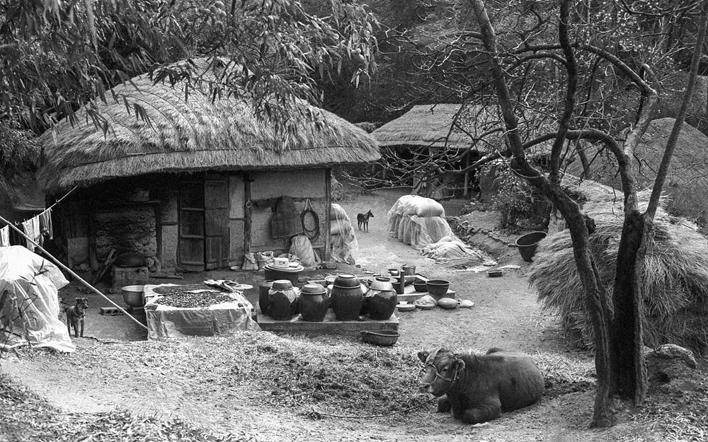 Jung Youngshin, 1988 Jeonnam Gangjin, 2026, pigment ink print, 80×50.5 cm
