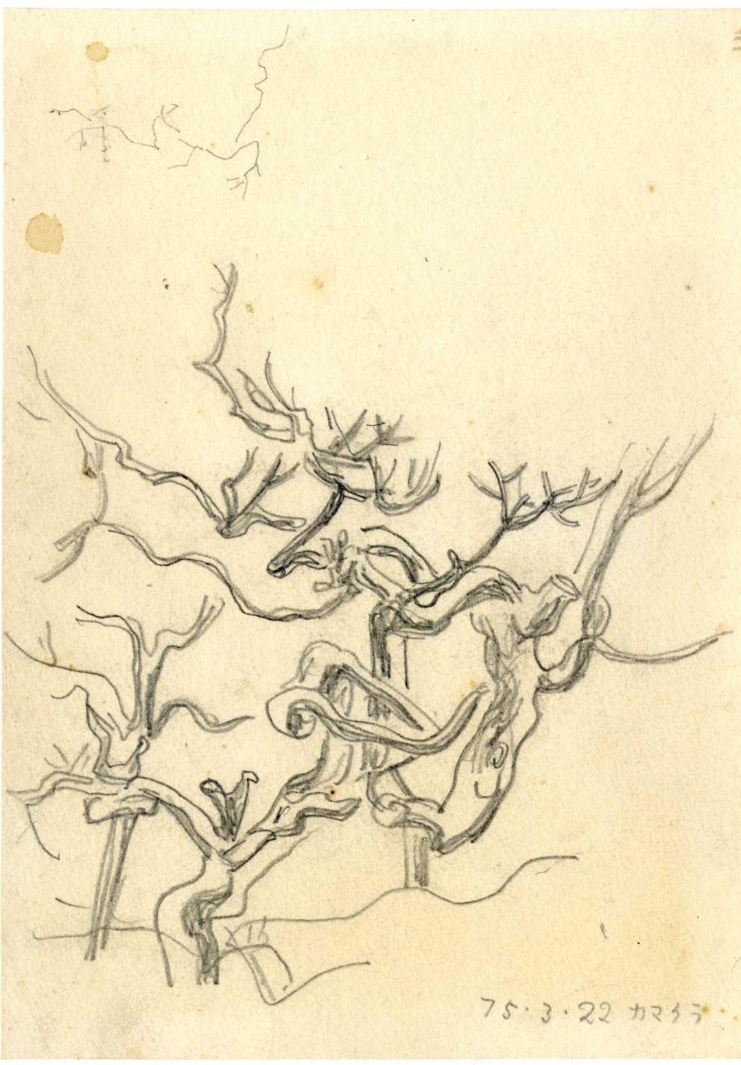 박생광, 〈가마쿠라 나무〉, 종이에 연필, 15.7x22.2cm, ₩200,000