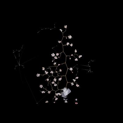 쿼크의 시간#113, Archival pigment print 2025 - 최재란