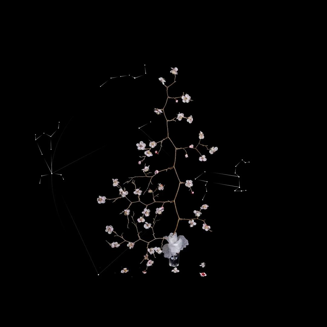 최재란, 〈쿼크의 시간 #113〉, 2025, Archival pigment print, 100x100cm