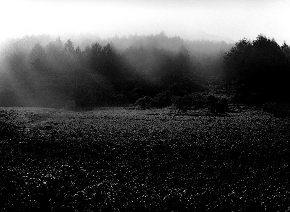 Cho Moon-ho, 2006 Jeongseon Giusan, 2026, pigment ink print, 80×58.5 cm