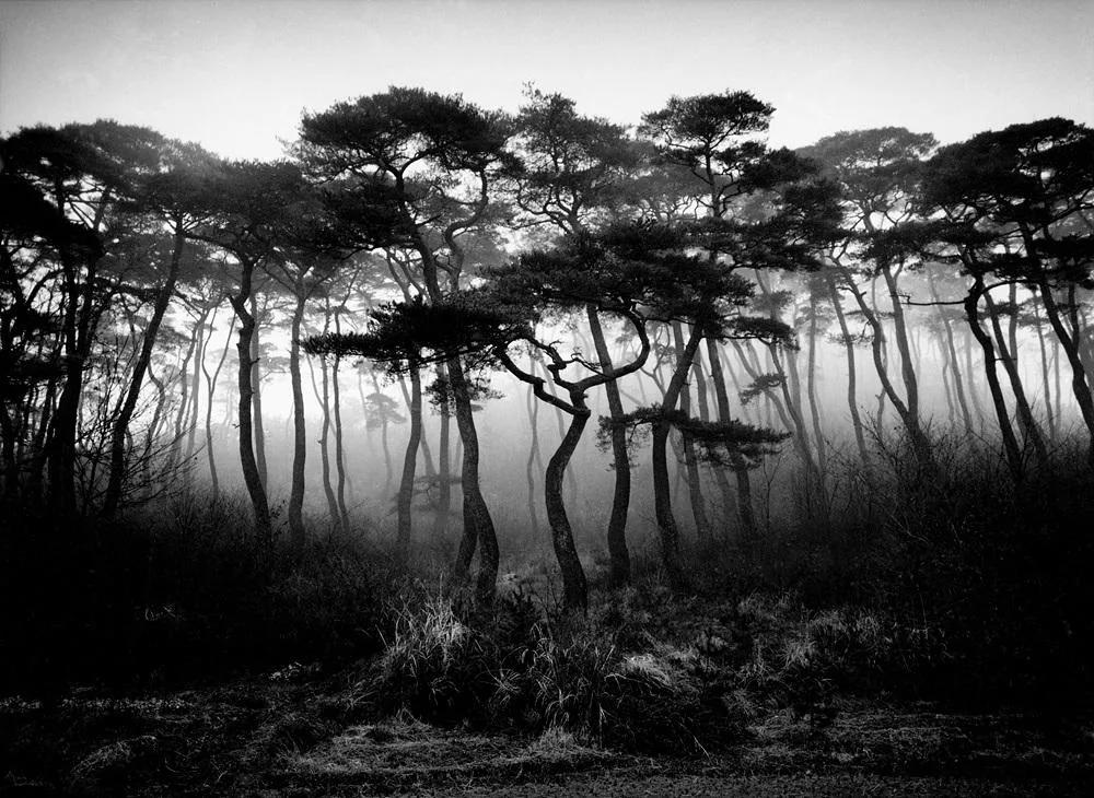 Cho Moon-ho, 2003 Yangsan Yeongchuksan, 2026, pigment ink print, 80×58.5 cm