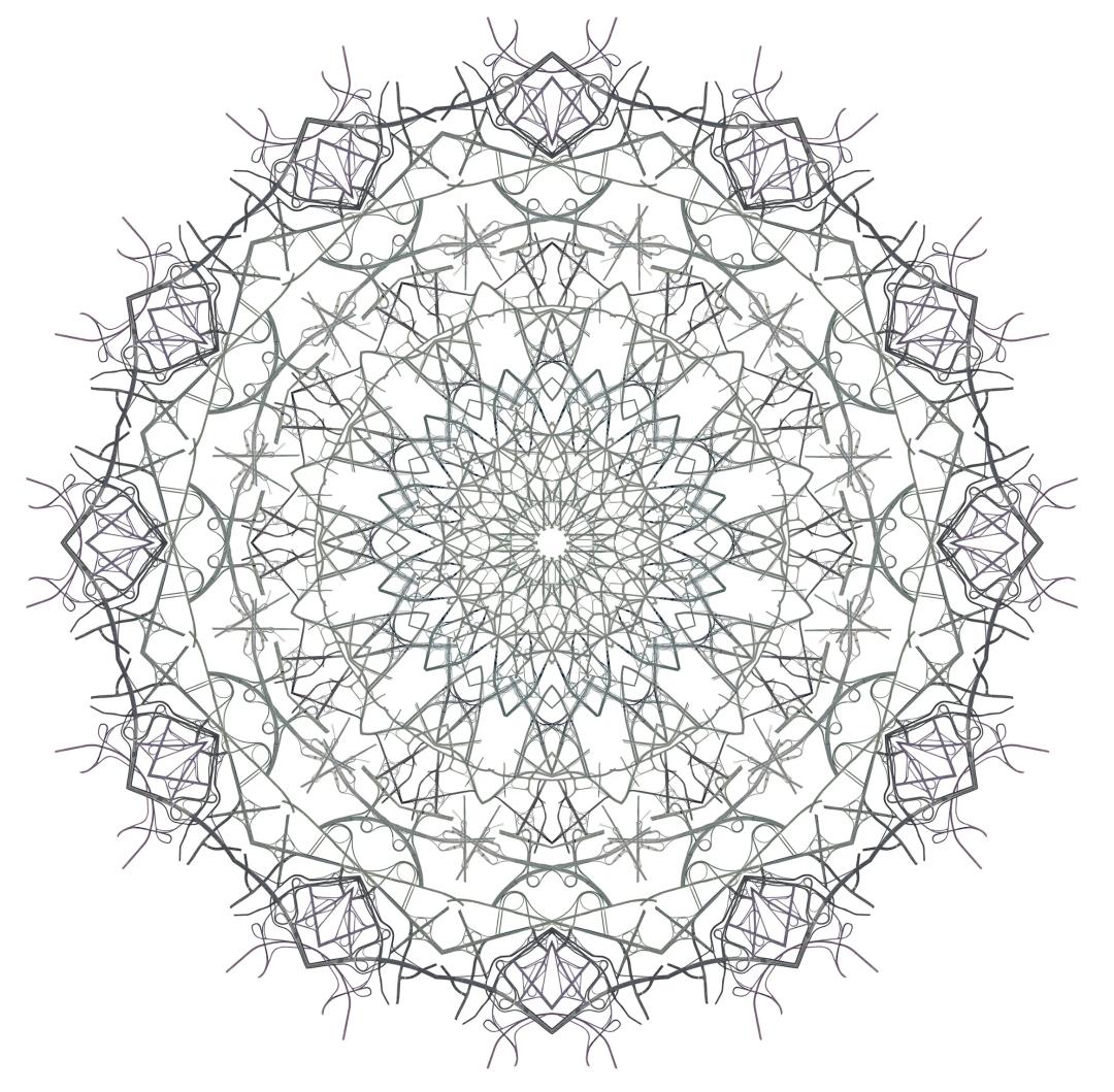 김태균, 〈Ornament #3-1〉, 2013, 디지털 프린트·디아섹, 100x100cm